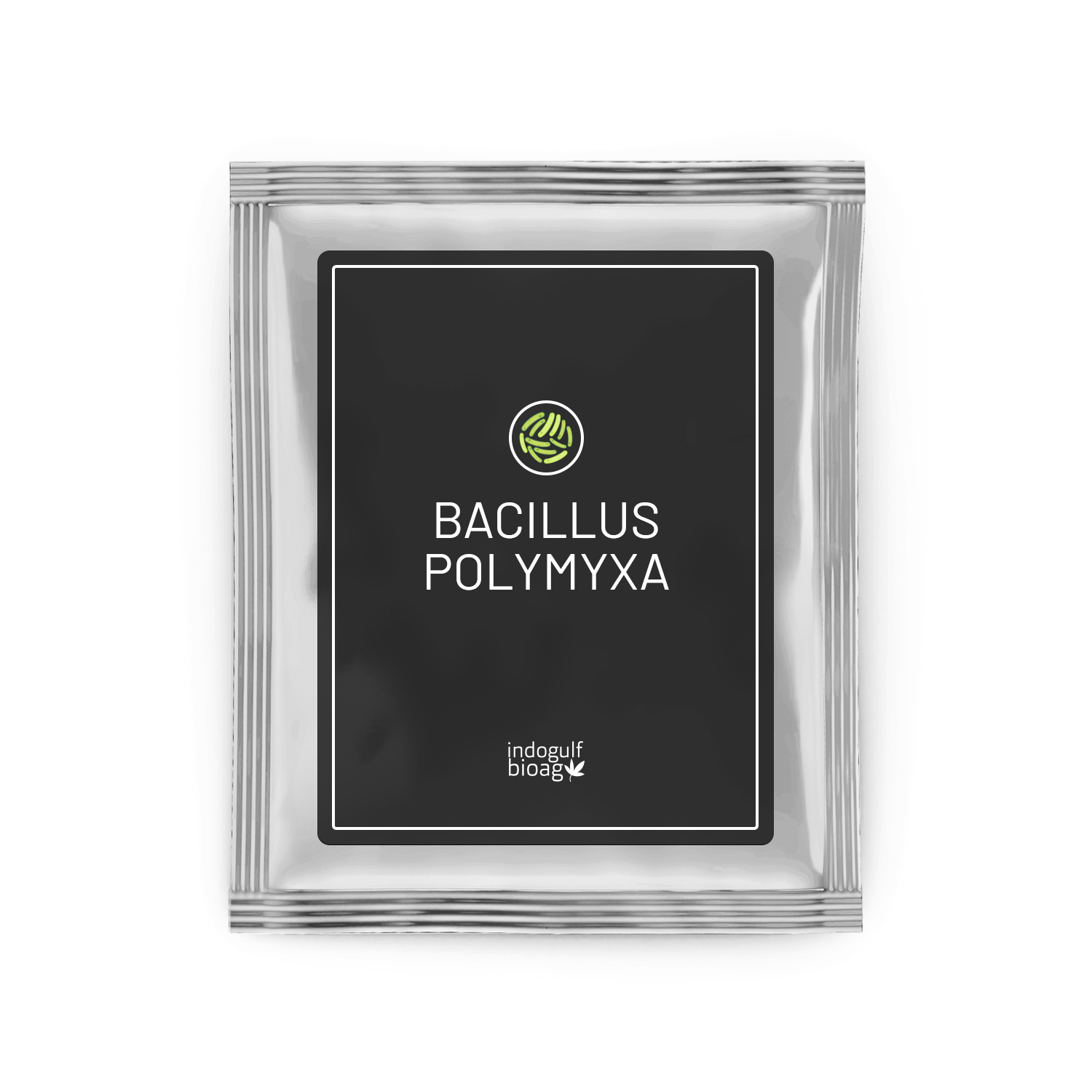 Bacillus Polymyxa Manufacturer & Exporter | Phosphorous